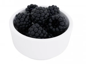 Berry white bowl collection 3D Model