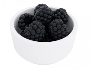 Berry white bowl collection 3D Model