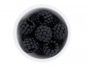 Berry white bowl collection 2 3D 模型