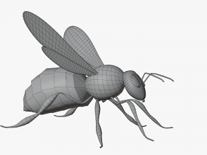bee cartoon 3D 模型