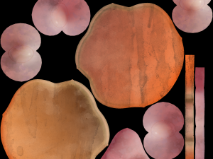 Paw stylized Modello 3D