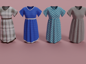 Clothes n5 3D Model