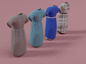 Clothes n5 3D Model