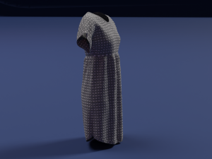 Clothes n5 3D Model