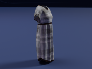 Clothes n5 3D Model