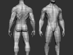 3d drawing model human 3D Model