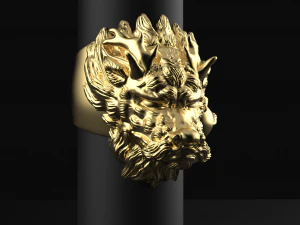 Dragon ring 3D print model 3D Print Model
