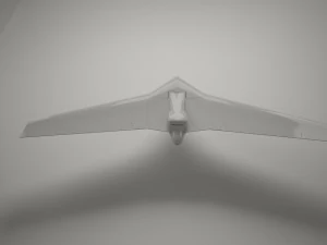 zumbido Modelo 3D