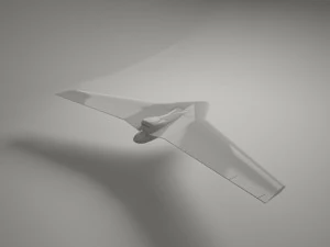 zumbido Modelo 3D
