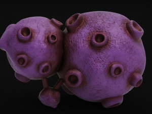 weezing - pokemon Modelo 3D