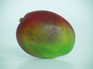 mango Model 3D