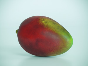 mango Model 3D