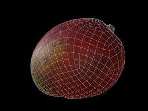 mango Model 3D