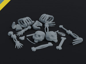 Cartoon bones Polygonal Style 3D मॉडल