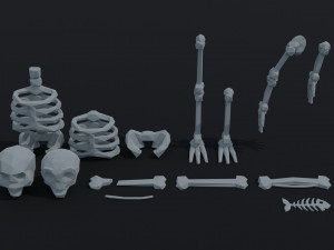 Cartoon bones Polygonal Style Model 3D