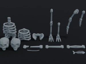 Cartoon bones Polygonal Style 3D Model
