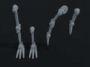 Cartoon bones Polygonal Style 3D Model