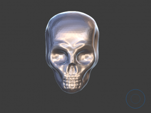 skull craneo 3D-Druckmodell