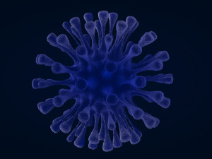 virus 1 3D Model