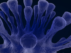 virus 1 3D Model
