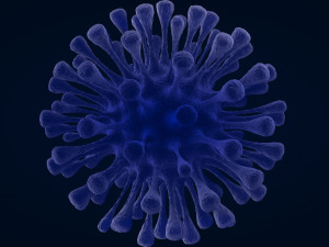 virus 1 3D Model