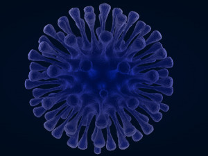 virus 1 3D Model