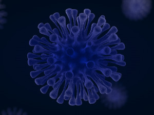 virus 1 3D Model