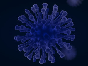 virus 1 3D Model