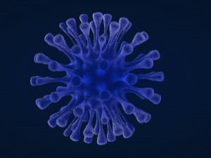 virus 1 3D Model