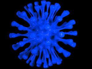 virus 1 3D Model