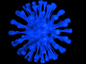virus 1 Modello 3D