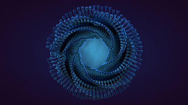 abstract animation Model 3D .c4d .max .obj .3ds .fbx .stl .blend 