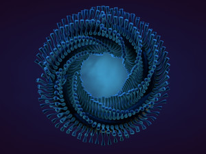 abstract animation Model 3D