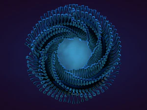 abstract animation 3D Model