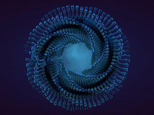 abstract animation Model 3D