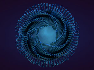 abstract animation 3D Model