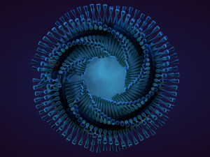 abstract animation Model 3D