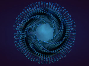 abstract animation 3D Model