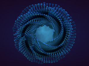 abstract animation Model 3D