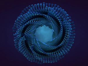 abstract animation 3D Model