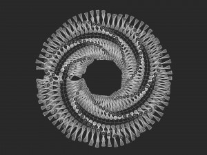 abstract animation Model 3D