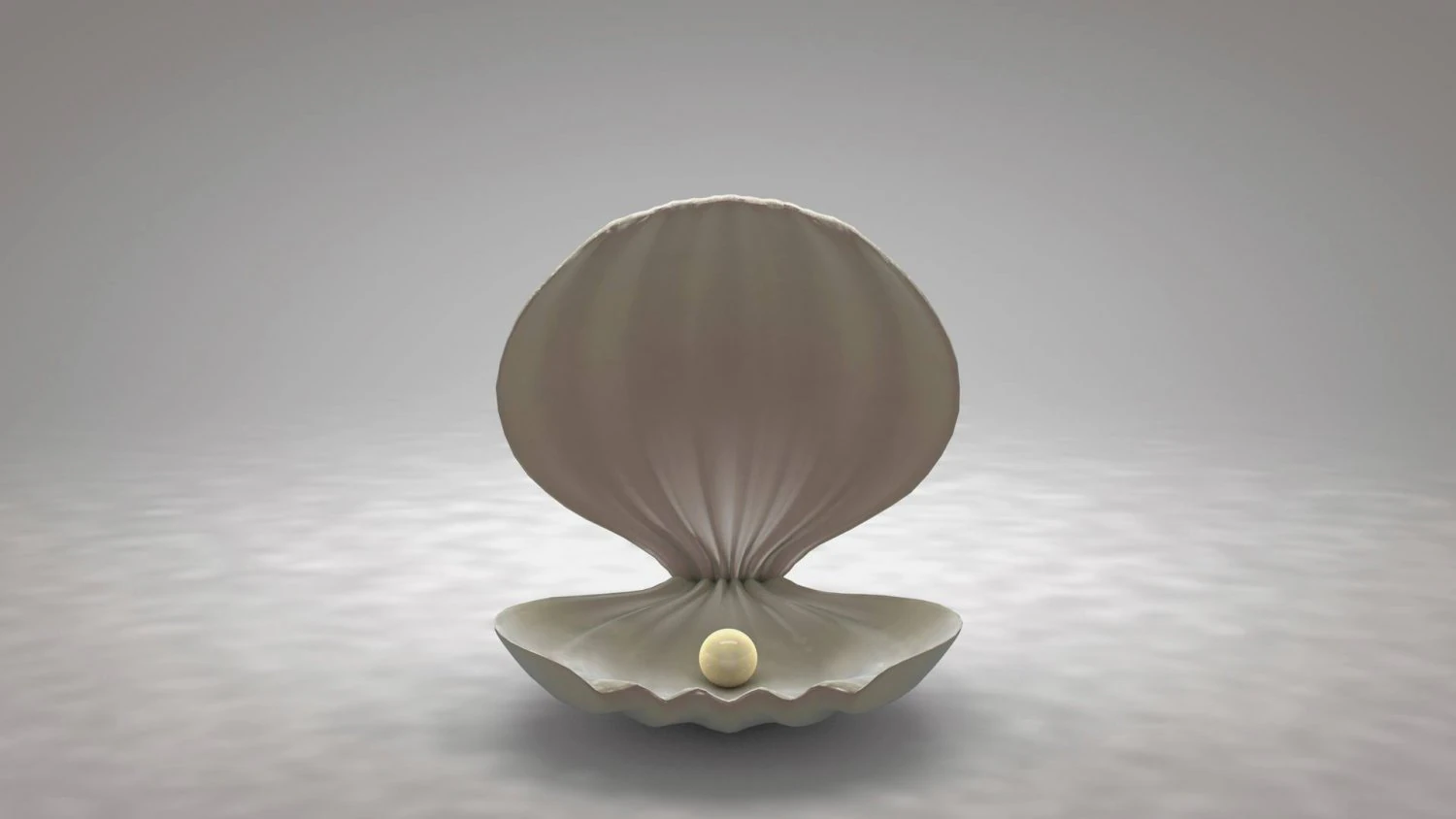 clamshell with a pearl 3D Model .c4d .max .obj .3ds .fbx .stl .blend 