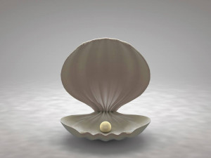 clamshell with a pearl 3D Model