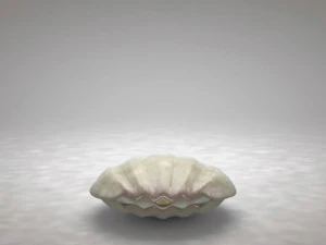 clamshell with a pearl 3D Model