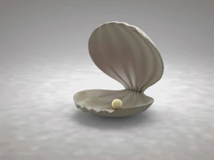 clamshell with a pearl 3D Model