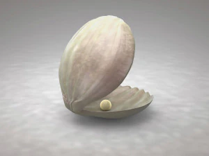 clamshell with a pearl 3D Model