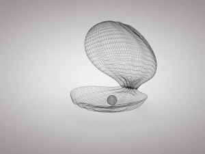 clamshell with a pearl 3D Model