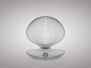 clamshell with a pearl 3D Model
