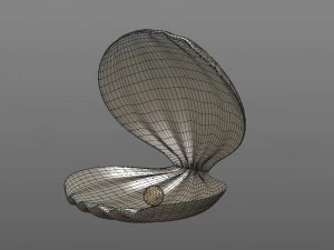 clamshell with a pearl 3D Model