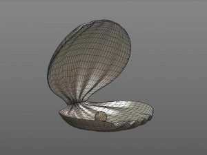 clamshell with a pearl 3D Model
